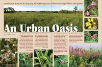 Outdoor Illinois Magazine, June 2009 Issue